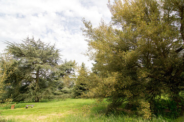 Arboretum de Versailles-Chèvreloup