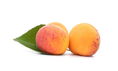 Two ripe apricots.