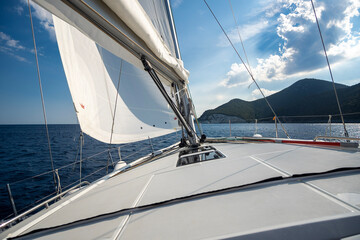 Fototapeta premium sailing on the sea