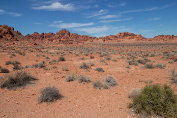 Fototapeta na wymiar Aztec sandstone at Valley of Fire State Park in Nevada, USA