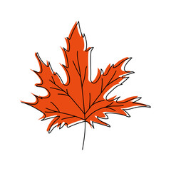 Autumn leaf doodle. Red maple leaf. Maple leaf isolated on white background. 