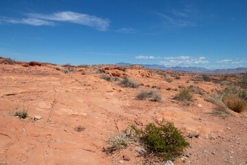 desert view at Valley of Fire State Park in Nevada