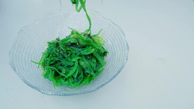 Close up of an algae with chopsticks. Soaked green wakame.