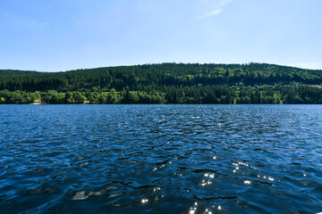 TITISEE-SCHWARZWALD-GERMANIA
FORESTA NERA