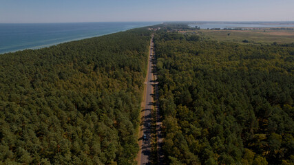 Droga pomiędzy drzewami wzdłuż morza z drona