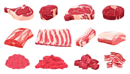 Fotobehang Set of fresh meat. Different parts of animal meat beef and pork. Vector illustration © Igor