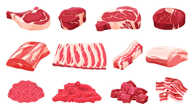Set of fresh meat. Different parts of animal meat beef and pork. Vector illustration