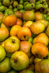 Gastronomie fruit 12