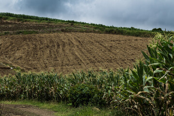 Obraz premium Paisaje rural montaña