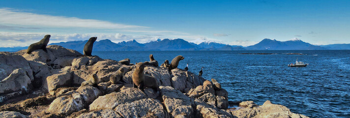 Isla Refugio , Patagonia Norte Chile