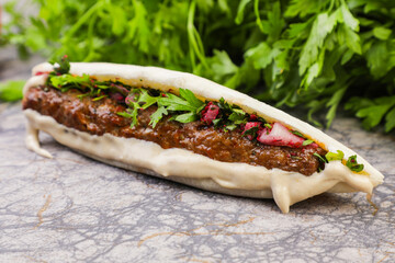 Middle eastern Arabian veg sandwich