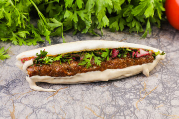 Middle eastern Arabian veg sandwich