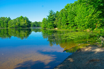 Summer vegetation reflected in the calm waters of a small lake in East Brunswick, New Jersey, USA -20
