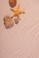 Fototapeta na wymiar Frame of Various Seashells on Sandy Background. Good For Summer Sale Backdrop