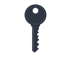 Monochromatic key icon.