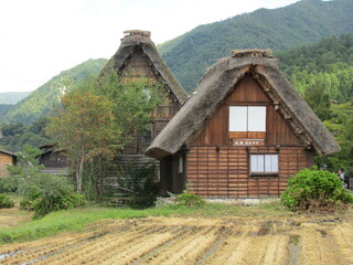 Fototapeta na wymiar old rural house of shiragawago