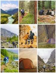 Collage of images of travel in the wild