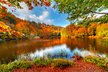 Fototapeta na wymiar Autumn in lake. Autumn landscape at beautiful lake with colorful tree leaves. Colorful autumn leaves in stunning forest landscape. pastel colors of the autumn season. autumn background photo. 