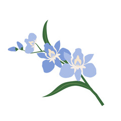 Blue Flowers Design Very Cool