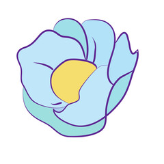 Blue Flowers Design Very Cool