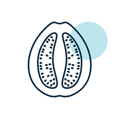 Guava tropical fruit vector icon