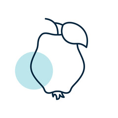 Quince isolated design vector icon. Fruit sign