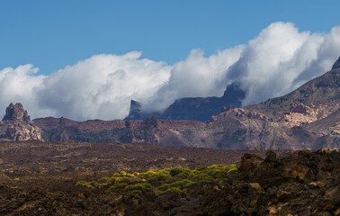 Naklejka premium 2021 Tenerife, Parque Nacional del Teide.