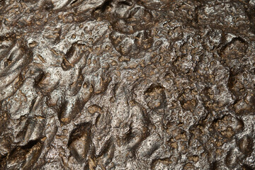 The metal meteorite surface close-up as background.