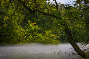 Fon on the South Holston River in Bristol, Tennessee