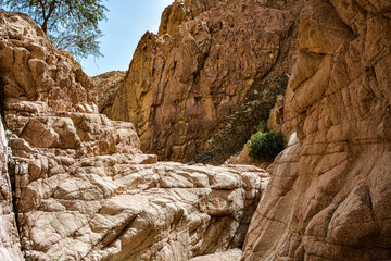 Sandy canyon between sandy mountains in Jordan