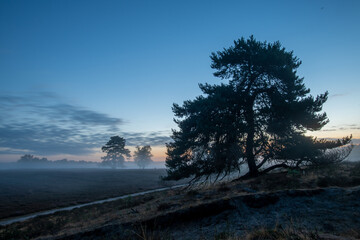 Traumhafter Sonnenaufgang bei Nebel in der Heide