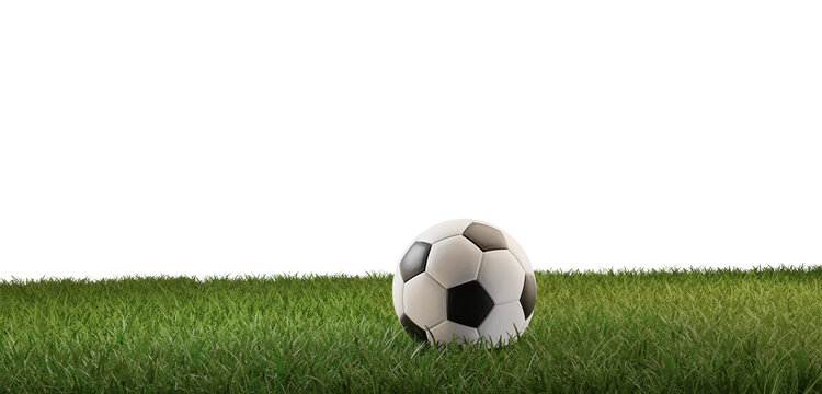 Fototapeta soccer ball on green grass 3d-illustration