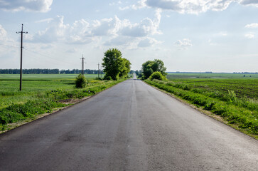 Fototapeta na wymiar Asphalt road leading into the distance in the countryside in summer.