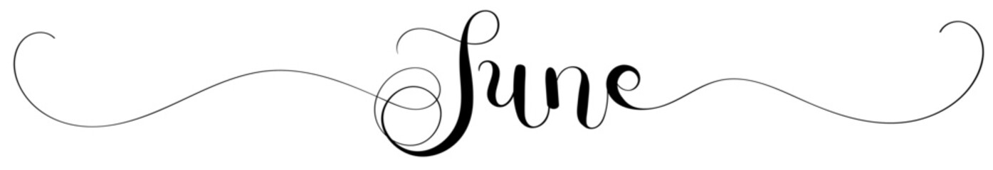 Hello JUNE Ornaments . JUNE month text lettering vector. Illustration month June calendar