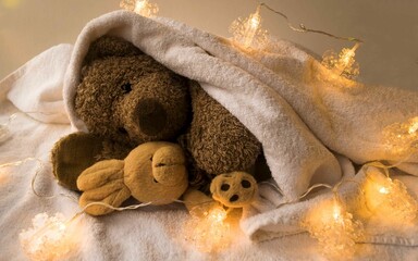 A teddy bear lies in bed with a small toy rabbit covered with a white warm blanket.  Falls asleep...