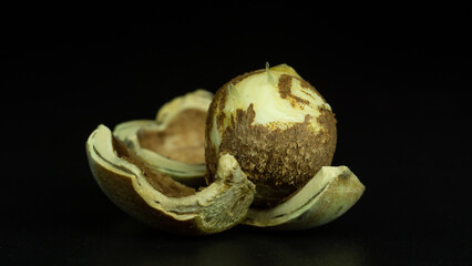 hazelnut close up on a black background