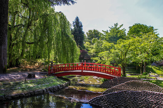 Japanese Red  bridge in Albert Kahn museum( japanese garden) in Paris - amazing springtime!