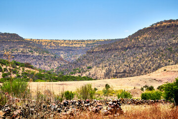 desertic landscape with yellow colors and rocks on monte escobedo, zacatecas rural zone