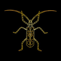 A golden beetle in a linear style. Linear vector illustration of a golden beetle.
