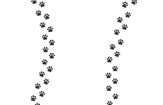 Dog footprint vector way. Cat footprint icon isolated pet silhouette path print