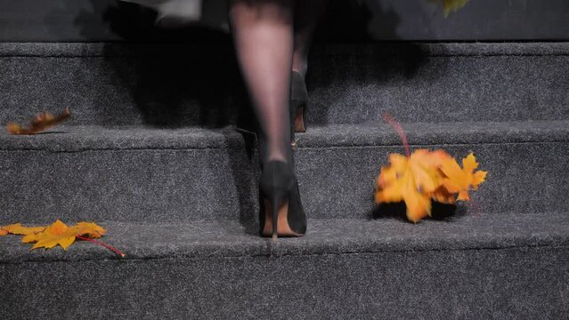Thematic party woman heels legs on stairs stage fall leaves autumn party stage event corporate. Open season. Hello autumn stage presentation. Walking up stairs covered autumn leaves falling leaf maple