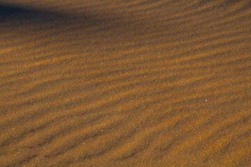 ripples in the sand