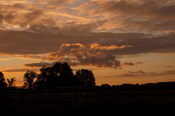 Spektakularny zachód słońca barwi niebo i chmury nad łąkami Podlasia .