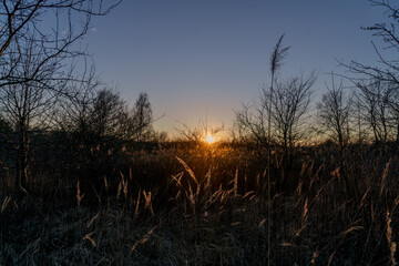 landscape view of the sun hiding behind the horizon in the background bare branches of trees bare branches of bushes dry grass the photo was taken in the evening at sunset in late autumn
