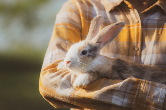 beautiful pretty portrait of young Asian woman person with cute rabbit in pet and animal care concept, happy female holding bunny at nature outdoor field with friendship, easter concept
