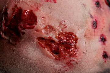 Forehead of undead evil zombie in studio, showing bloody scars and wounded face on camera....