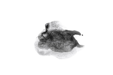 wet stain of black paint