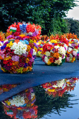 Beautiful and colorful exhibition flowers.