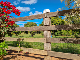 Wooden fence with flowers and a field with trees in the background