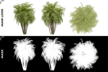 3D Rendering of Garden Plants (Residential or Commercial Space) with alpha mask to cutout and PNG editing. Vegetation for Nature Compositing